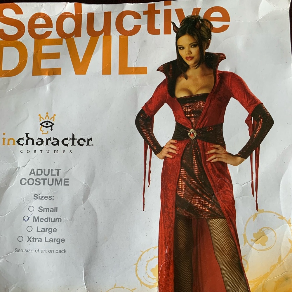 Seductive Devil Costume - image 1
